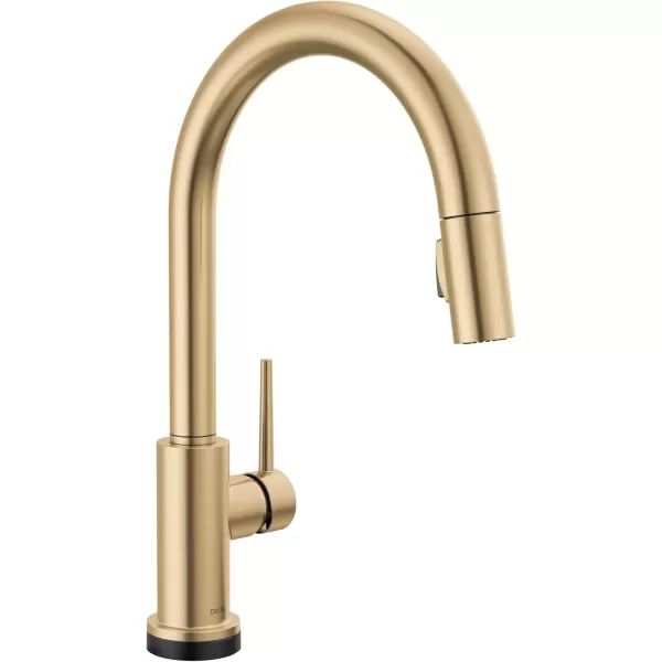 imageDelta Faucet Trinsic VoiceIQ Touchless Kitchen Faucets with Pull Down Sprayer Smart Faucet Alexa and Google Assistant Voice Activated Kitchen Sink Faucet Matte Black 9159TVBLDSTChampagne Bronze