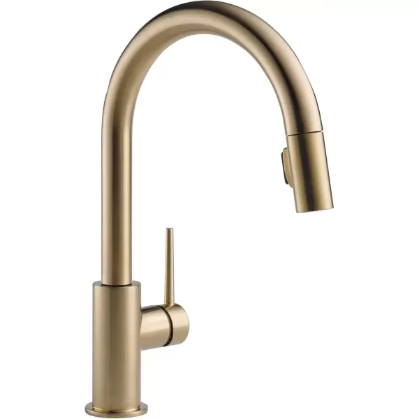 imageDelta Faucet Trinsic VoiceIQ Touchless Kitchen Faucets with Pull Down Sprayer Smart Faucet Alexa and Google Assistant Voice Activated Kitchen Sink Faucet Matte Black 9159TVBLDSTChampagne Bronze