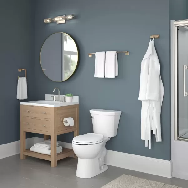 imageDELTA 77750SS Vero Toilet Paper Holder 500 x 600 x 1300 Inches StainlessChampagne Bronze