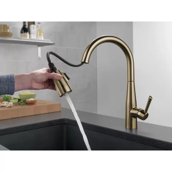 imageDelta Faucet Essa VoiceIQ Touchless Kitchen Faucet with Pull Down Sprayer Smart Faucet Alexa and Google Assistant Voice Activated Kitchen Sink Faucet Chrome 9113TVDSTChampagne Bronze