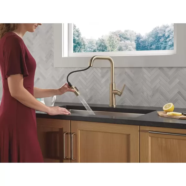 imageDelta Faucet Nicoli USpout Kitchen Faucet with Pull Down Sprayer Champagne Gold Kitchen Sink Faucet Modern Kitchen Faucet Single Hole Kitchen Faucet Champagne Bronze 19868LFCZChampagne Bronze