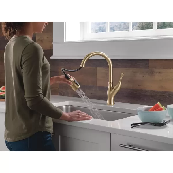imageDelta Faucet Ophelia Matte Black Kitchen Faucet Touch Touch2O Technology MagnaTite Docking SingleHandle 19888TZBLDSTChampagne Bronze