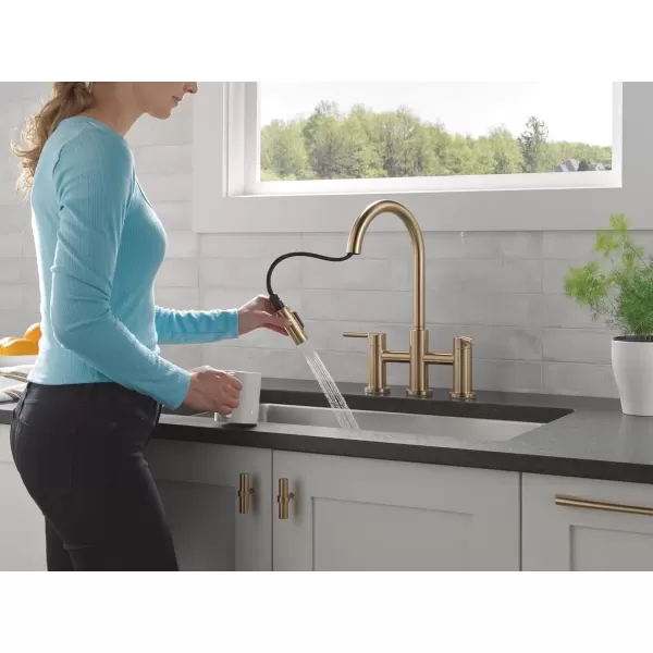 imageDelta Faucet Nicoli Bridge Kitchen Faucet with Pull Down Sprayer Brushed Nickel 3Hole Kitchen Faucet Modern Kitchen Faucet 2Handle Kitchen Faucet Kitchen Sink Faucet Stainless Steel 39876LFSSChampagne Bronze