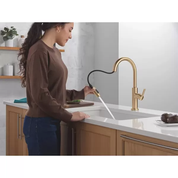 imageDelta Faucet Nicoli Kitchen Faucet with Pull Down Sprayer Champagne Gold Kitchen Sink Faucet Modern Kitchen Faucet Kitchen Faucet Sprayer Single Hole Kitchen Faucet Champagne Bronze 19867LFCZChampagne Bronze