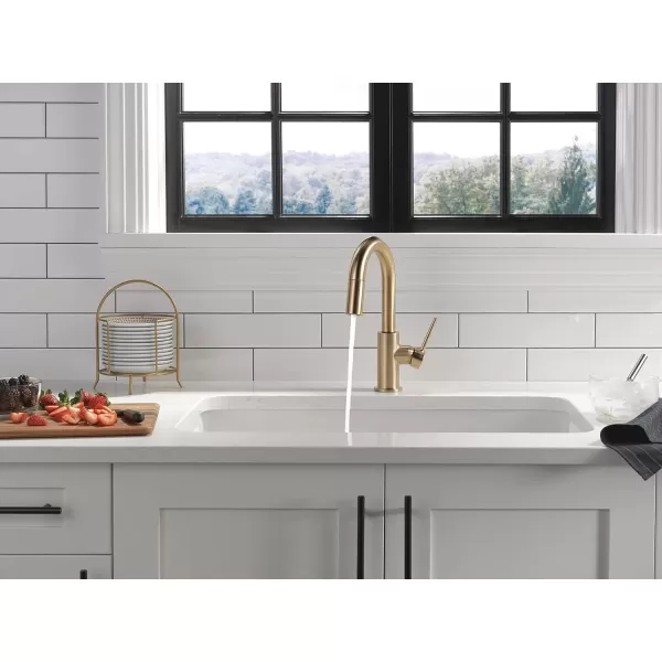imageDelta Faucet Trinsic Touch Bar Faucet with Touchless Technology Bar Faucet with Pull Down Sprayer Black Bar Sink Faucet Prep Sink Faucet Wet Bar Faucet Matte Black 9959TLBLDSTChampagne Bronze