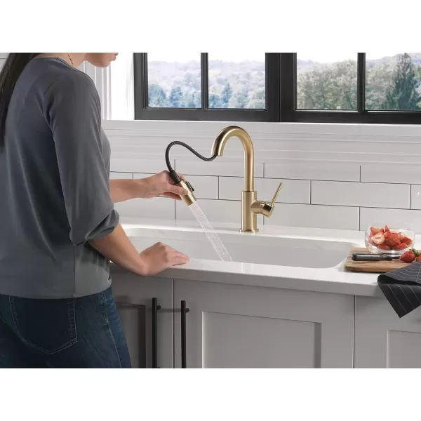 imageDelta Faucet Trinsic Touch Bar Faucet with Touchless Technology Bar Faucet with Pull Down Sprayer Black Bar Sink Faucet Prep Sink Faucet Wet Bar Faucet Matte Black 9959TLBLDSTChampagne Bronze