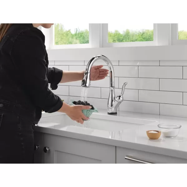 imageDELTA 9178TLARDST Leland Kitchen Faucet Touch  Touchless Arctic StainlessChrome