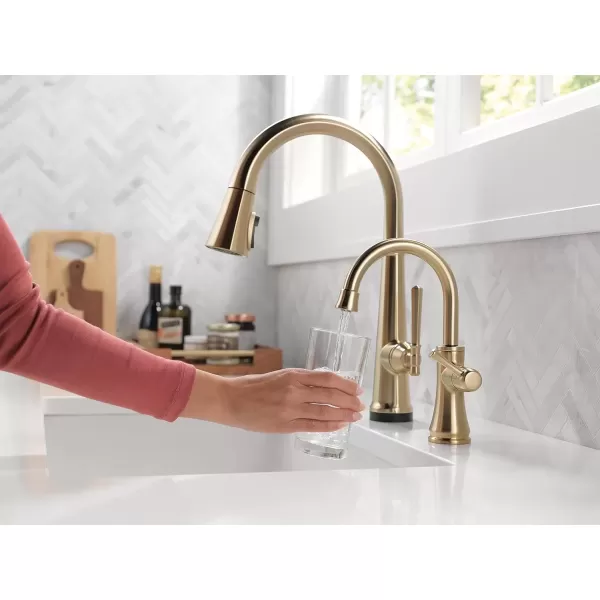 imageDELTA FAUCET 1920CZDST Traditional Beverage Faucet Champagne BronzeChampagne Bronze