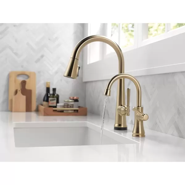 imageDELTA FAUCET 1920CZDST Traditional Beverage Faucet Champagne BronzeChampagne Bronze