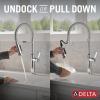 imageDelta Faucet Rhett Pro Commercial Style Kitchen Faucet Kitchen Faucets with Pull Down Sprayer Brushed Nickel Kitchen Sink Faucet Faucet for Kitchen Sink with Magnetic Dock Stainless 18887SSDSTChrome