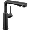 imageDelta Faucet Daneri PullOut Kitchen Faucet Black Kitchen Faucets with PullOut Sprayer Kitchen Sink Faucet Faucet for Kitchen Sink with Magnetic Docking Matte Black 16879BLDSTMatte Black