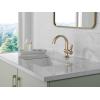 imageDelta Faucet Albion Single Hole Bathroom Faucet BlackGold Single Handle Bathroom Faucet Bathroom Sink Faucet Metal Push PopUp Drain Assembly Matte BlackChampagne Bronze 15855LFGZChampagne Bronze
