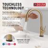 imageDelta Faucet Trinsic Touch Kitchen Faucet with Touchless Technology Kitchen Faucet with Pull Down Sprayer Chrome Kitchen Sink Faucet Touchless Kitchen Faucet Chrome 9159TLDSTChampagne Bronze