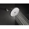 imageDelta Faucet SingleSpray TouchClean Shower Head Stainless RP52382SS 05Chrome