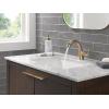 imageDelta Arvo 1 Hole Pull Down Bathroom Faucet with Sprayer Chrome Single Hole Bathroom Sink Faucet with Pull Out Sprayer for Vanity Metal PushPop Drain Chrome 15840LFPDChampagne Bronze