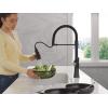 imageDelta Ermelo Pro Style Commercial Kitchen Faucet with Pull Down Sprayer Single Hole Brushed Gold Kitchen Sink Faucet Single Handle Champagne Bronze 18887CZDSTMatte Black