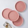 imageStone lain Stella Pasta Bowl 6Piece Set Round Porcelain Lime GreenTerracotta
