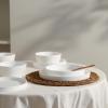 imageStone Lain Bone China Pinpoint Embossed 16 Piece Dinnerware Set WhiteMatte White