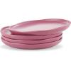imageStone Lain Tom Stoneware 16Piece Reactive Glaze Dinnerware Set Plates and Bowls Set Microwave and Dishwasher Safe Dish Set for 4 OlivePink and White