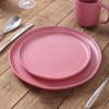 imageStone Lain Tom Stoneware 16Piece Reactive Glaze Dinnerware Set Plates and Bowls Set Microwave and Dishwasher Safe Dish Set for 4 OlivePink and White