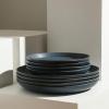 imageStone Lain Elio 4Piece Dinner Plate Set Stoneware BlueBlue