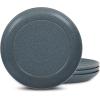 imageStone Lain Elio 4Piece Dinner Plate Set Stoneware BlueBlue