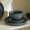imageStone Lain Elio 4Piece Dinner Plate Set Stoneware BlueBlue