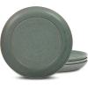 imageStone Lain Elio 4Piece Dinner Plate Set Stoneware BlueGreen