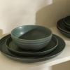 imageStone Lain Elio 4Piece Dinner Plate Set Stoneware BlueGreen