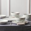 imageStone Lain Rio 12Piece Dinnerware Set Stoneware BlueBeige