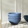 imageStone Lain Rio 12Piece Dinnerware Set Stoneware BlueBlue