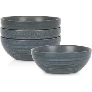 imageStone Lain Elio 4Piece Dinner Plate Set Stoneware BlueBlue