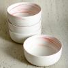 imageStone Lain Brighton 16Piece Dinnerware Set Porcelain PinkMatte Pink