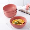 imageStone Lain Delilah 8inch Bowl 6Piece Dish Set Porcelain PeachTerracotta