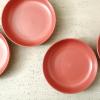 imageStone Lain Logan 16Piece Dinnerware Set Stoneware TerracottaTerracotta