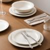 imageStone Lain Oasis 12Piece Dinnerware Set Stoneware Dishwasher and Microwave Safe Plates and Bowls Set Dish Set for 4 Grey BlueWhite