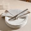imageStone Lain Oasis 12Piece Dinnerware Set Stoneware Dishwasher and Microwave Safe Plates and Bowls Set Dish Set for 4 Grey BlueWhite