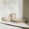 imageStone Lain Orbit 4Piece Pasta Bowl Set Stoneware BeigeBeige