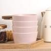 imageStone Lain Stoneware Dish Set 4 Mugs Tom  OliveAlbie  Light Pink
