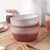 imageStone lain Vince Rustic Stoneware Mug Set 4 Count RedRed