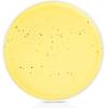 imageStone lain Elena Stoneware Dish Set 4 Dinner Plates Yellow