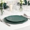 imageStone Lain Baskerville 16Piece Dinnerware Set Stoneware Borosilicate Glass GreenGreen