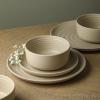 imageEarth ampamp Clay Ion 12Piece Dinnerware Set Stoneware BlueBeige