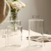image:imageStone Lain Celina Drinking Glasses Set of 8  4 Tall 169 oz amp 4 Short 12 oz Clear Borosilicate Glassware  Modern Everyday Tumbler Set