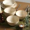 image:imageStone Lain Infinity 12Piece Dinnerware Set Stoneware Plates and Bowls Set Dishwasher and Microwave Safe Dish Set for 4 GreenBeige