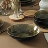 image:imageStone Lain Riley 12Piece Dinnerware Set Stoneware Plates and Bowls Set Dishwasher and Microwave Safe Dish Set for 4 Green and BlueBlack and Green