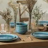 image:imageStone Lain Riley 12Piece Dinnerware Set Stoneware Plates and Bowls Set Dishwasher and Microwave Safe Dish Set for 4 Green and BlueBlue