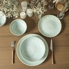 image:imageStone Lain Riley 12Piece Dinnerware Set Stoneware Plates and Bowls Set Dishwasher and Microwave Safe Dish Set for 4 Green and BlueSeafoam