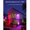 imageGovee Outdoor Lights Flood Lights Uplight 2 in 1 LED Low Voltage Landscape Lighting IP65 Pathway Lights with App Control Garden Yards Holiday Decor Wired 4 Pack6 pack