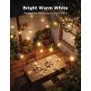 imageGovee Outdoor Clear Bulb String Lights 48ft RGBWIC Outdoor Lights with 15 Dimmable Warm White LED Bulbs 111 Scene Modes for Patio Backyard IP67 Waterproof Works with Alexa Google ampamp Matter96ft